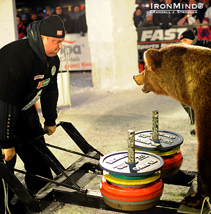 If your deadlifts are stuck, try this trick for motivation: go eyeball to eyeball with a bear, as Zydrunas Savickas did at the SCL Iceman today.  IronMind® | Randall J. Strossen photo.