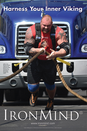 Harness Your Inner Viking Poster