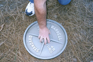 Plate turning exercise